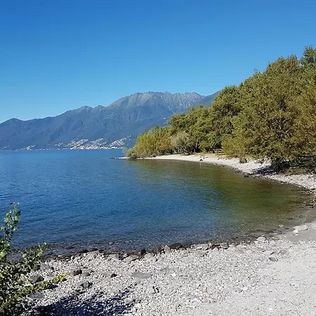 Apartment Sabrina 09 By Fewotessin Ascona