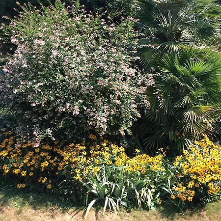 Apartment Sabrina 09 By Fewotessin *