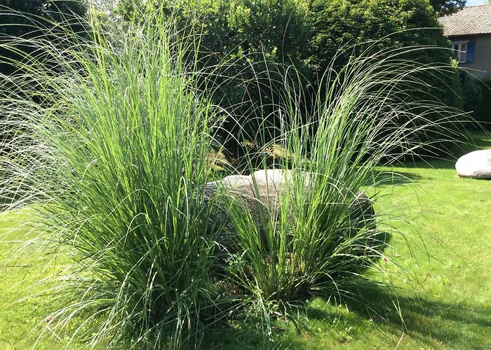 Sabrina 09 By Fewotessin 公寓